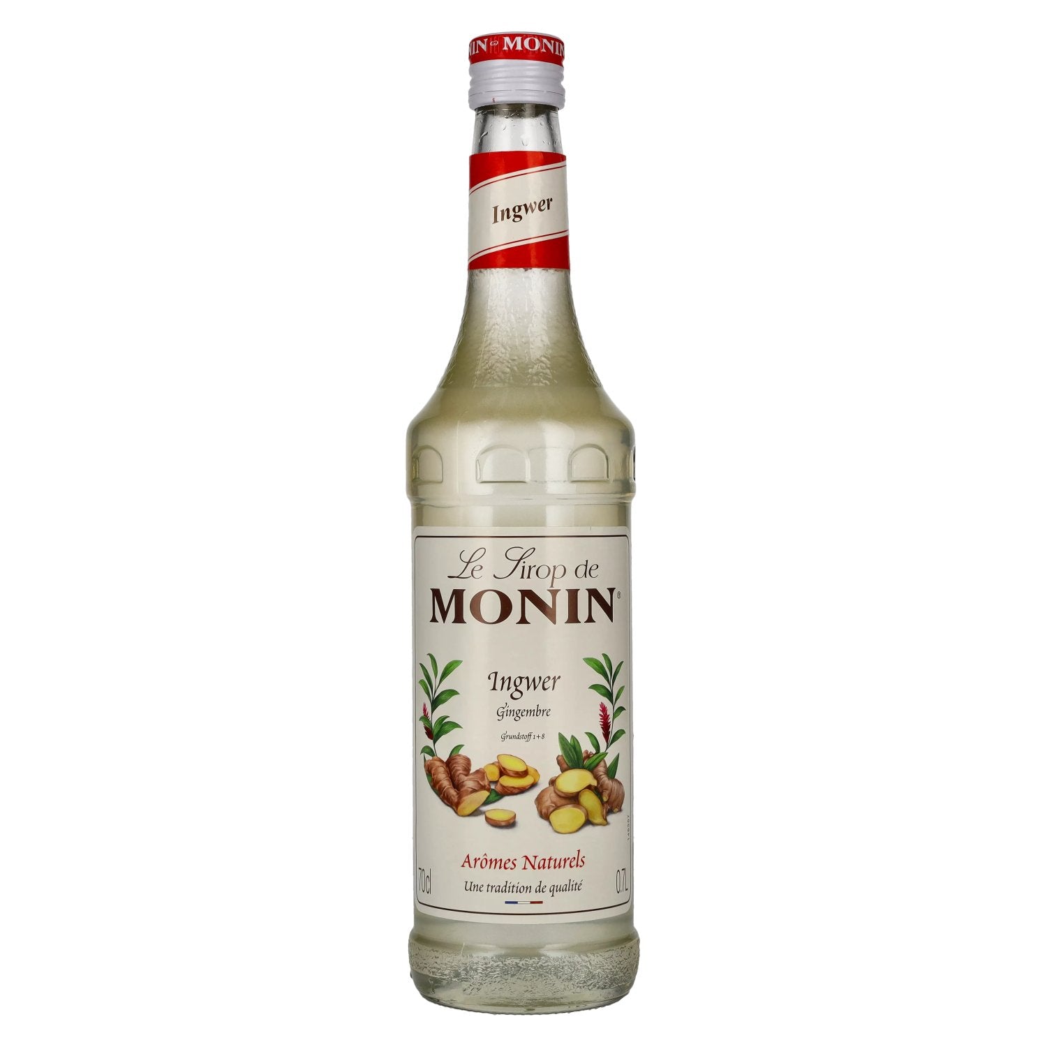 Le Sirop de Monin INGWER 0,7l