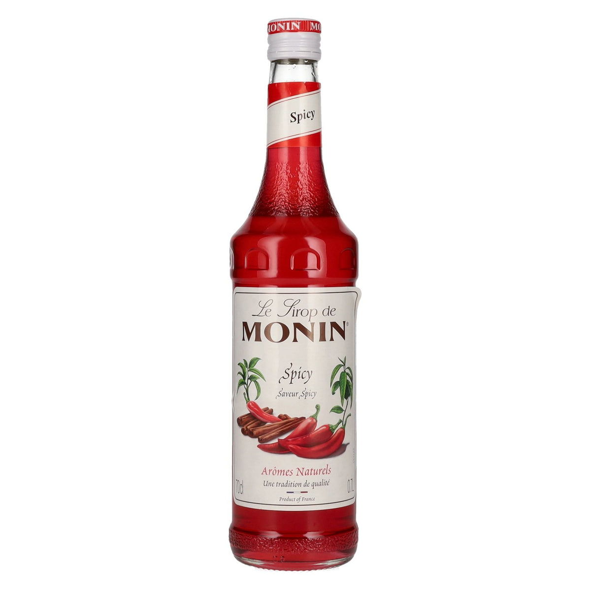 Le Sirop de Monin SPICY 0,7l