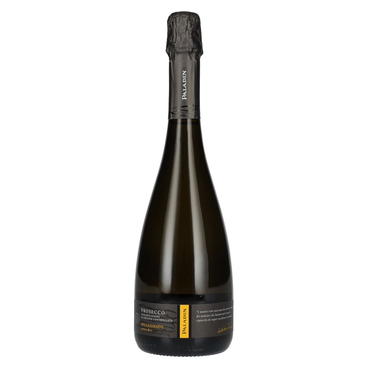 Paladin Prosecco Millesimato Extra Dry DOC 2024 11% vol. 0.75 l