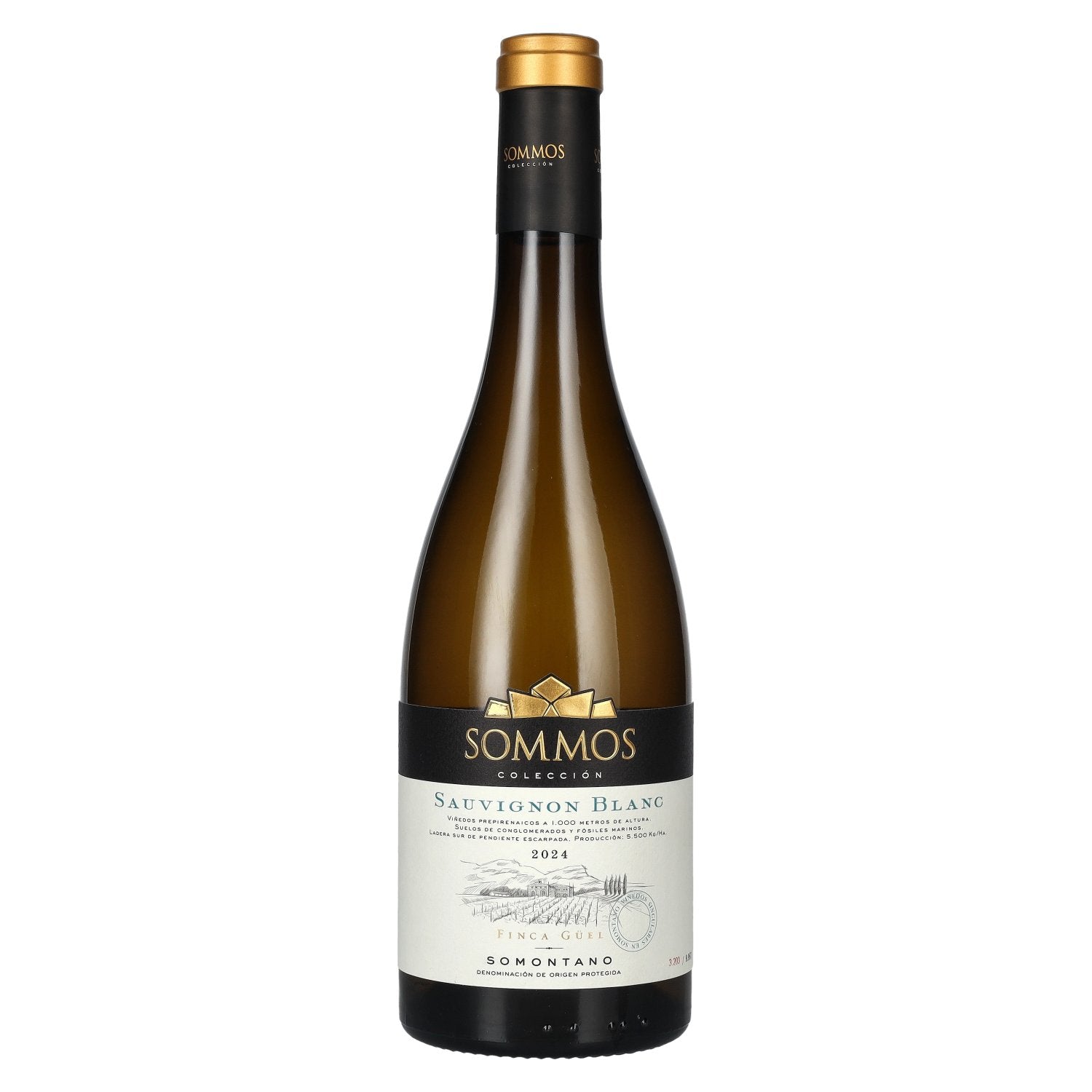 SOMMOS Colección Sauvignon Blanc Somontano D.O.P 2024 13,5% Vol. 0,75l