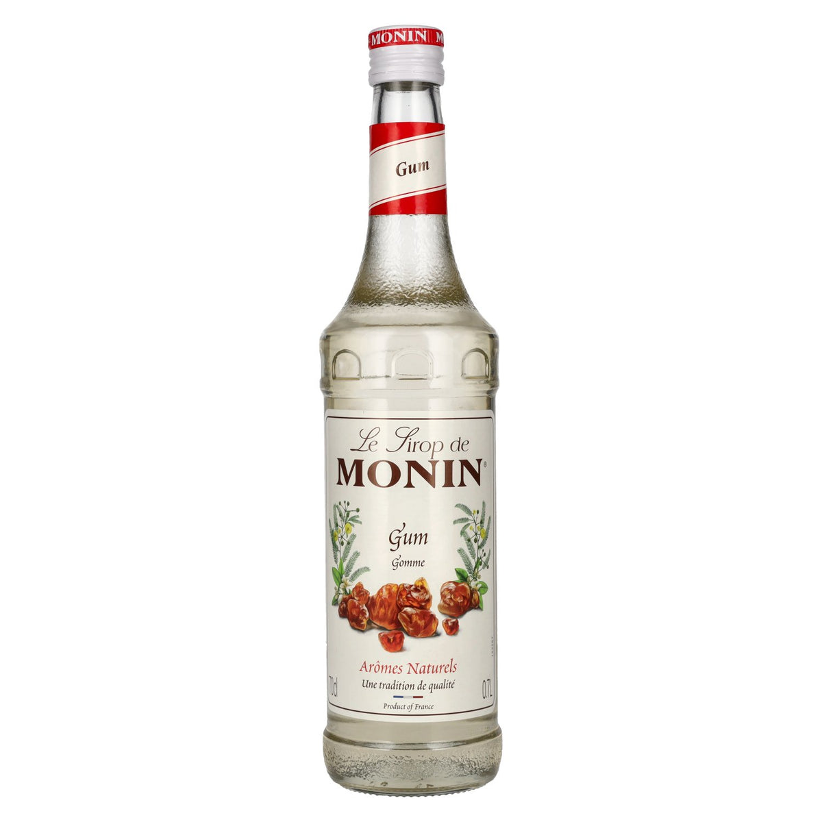 Le Sirop de Monin GUMMI-ARABICUM 0,7l