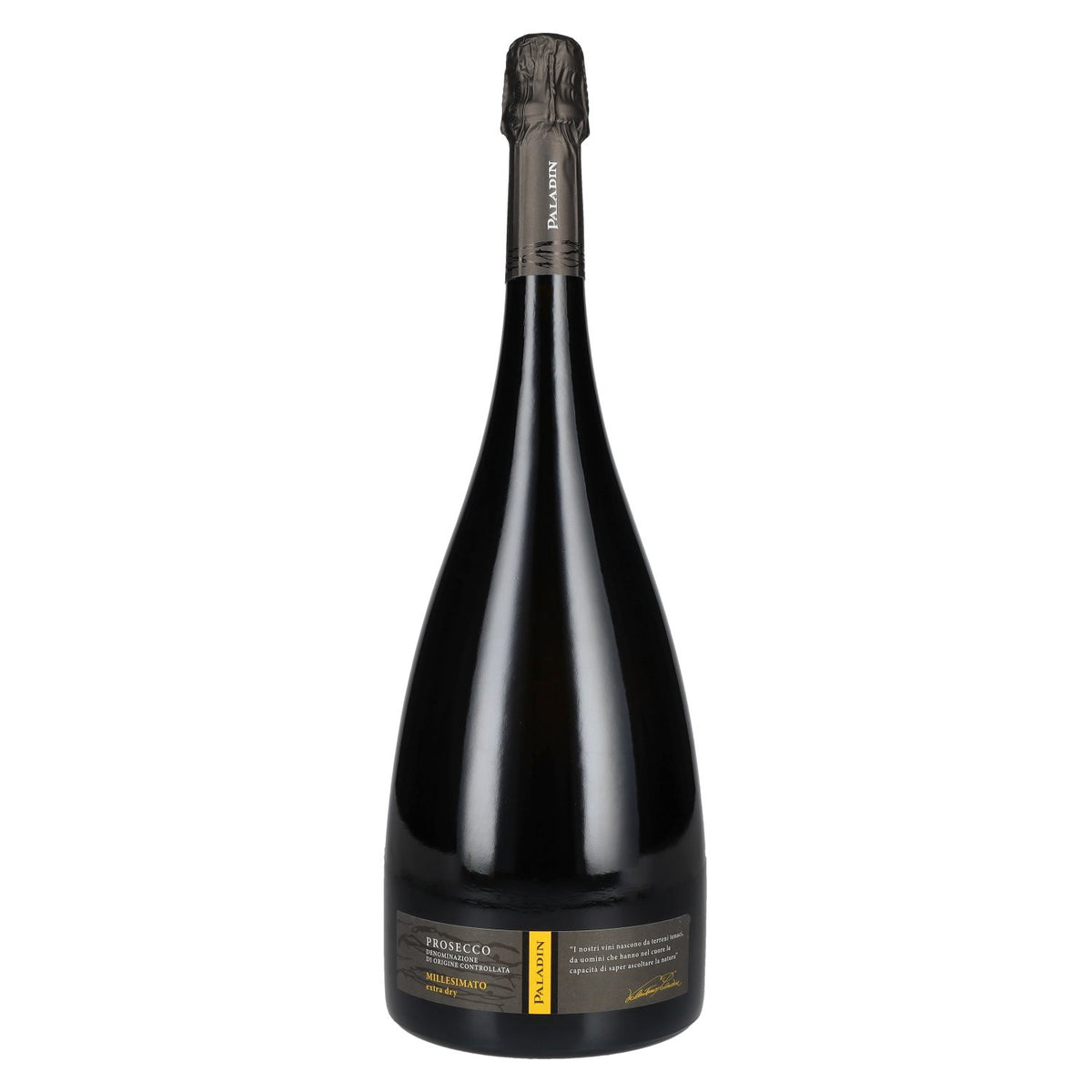 Paladin Prosecco Millesimato Extra Dry DOC 2025 11 % vol. 1,5 l