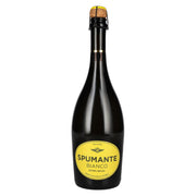 Hochriegl Spumante Bianco 11% Vol. 0,75l