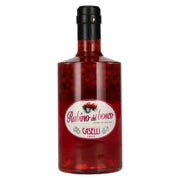 Caselli Rubino del Bosco Liqueur with Cranberries 25% ABV 0.7l