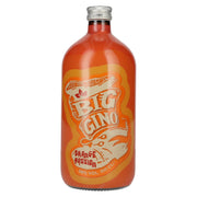 Big Gino Gin ORANGE PASSION 38% Vol. 1l