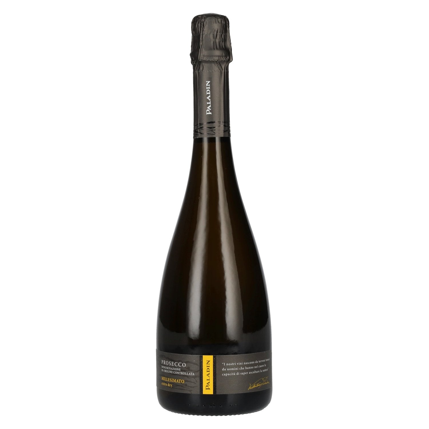 Paladin Prosecco Millesimato Extra Dry DOC 2025 11 % vol. 0,75 l