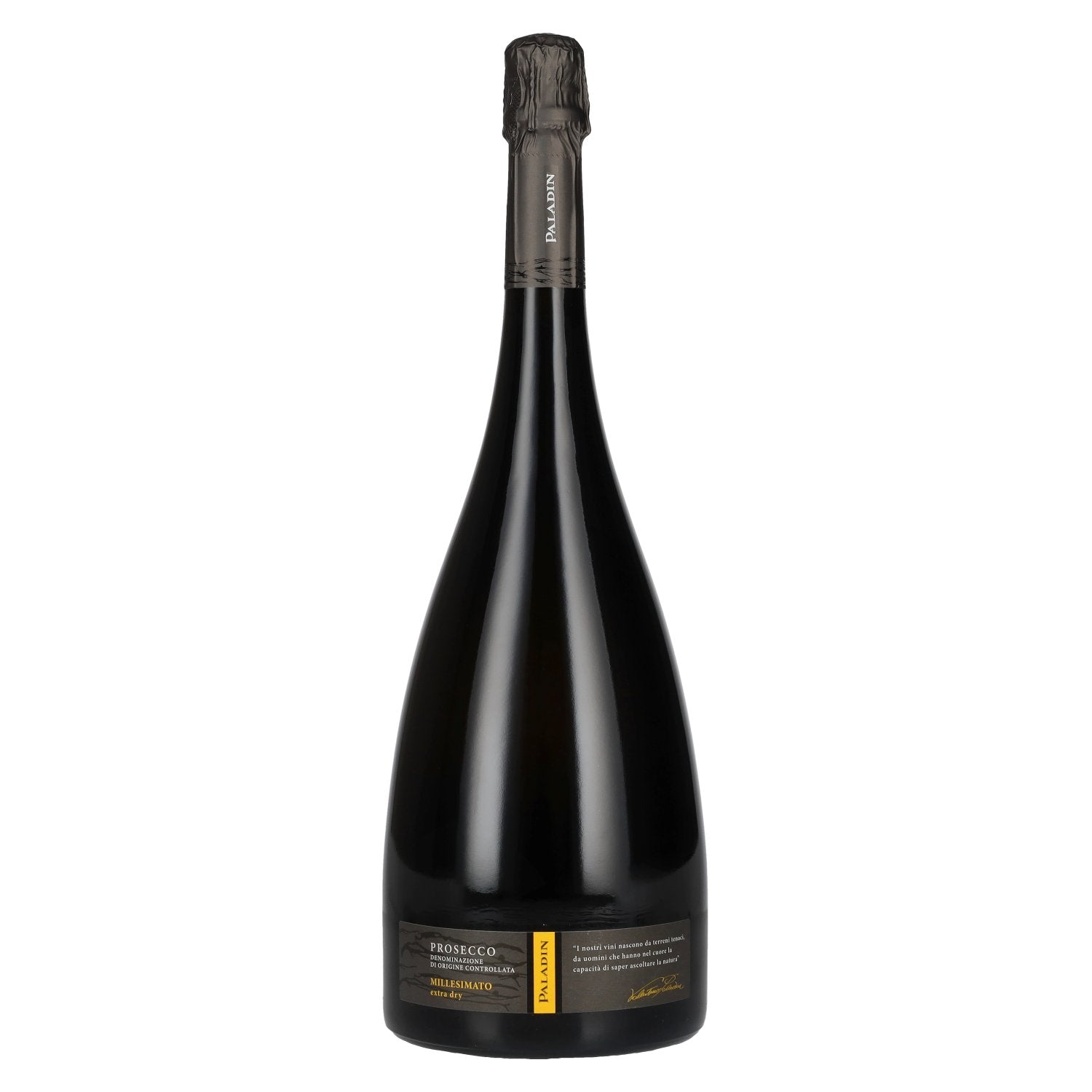 Paladin Prosecco Millesimato Extra Dry DOC 2024 11% vol. 1,5 l