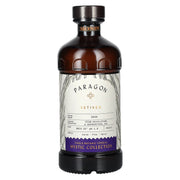 Monin Paragon VETIVER Single Botanic Cordial Mystic Collection 0.485 l